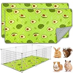 Pack guinea pig for sale  Delivered anywhere in USA 