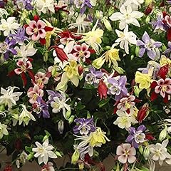 Thompson morgan flowers for sale  Delivered anywhere in UK