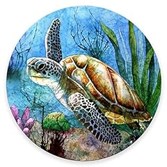 Amcove sea turtle for sale  Delivered anywhere in USA 