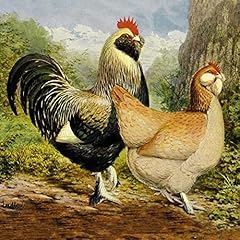 Artdirect chickens salmon for sale  Delivered anywhere in USA 