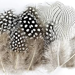 100 pcs natural for sale  Delivered anywhere in USA 