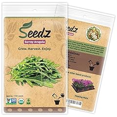 Organic arugula seeds for sale  Delivered anywhere in USA 