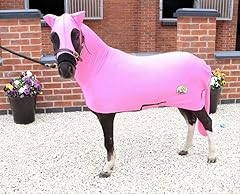 Ruggles miniature horse for sale  Delivered anywhere in UK