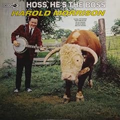 Hoss boss for sale  Delivered anywhere in UK