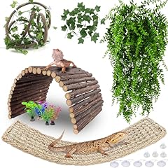 Hercocci bearded dragon for sale  Delivered anywhere in USA 