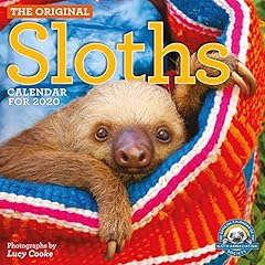 Original sloths wall for sale  Delivered anywhere in USA 