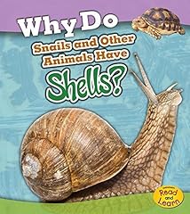 Snails animals shells for sale  Delivered anywhere in UK