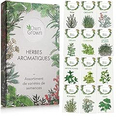 Kit graines herbes d'occasion  Livré partout en France