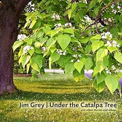 Catalpa tree stories for sale  Delivered anywhere in Ireland