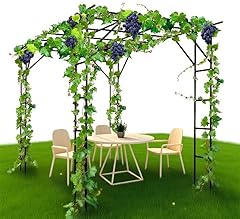Grape trellis grape for sale  Delivered anywhere in USA 