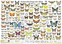 Schmetterlinge gebraucht kaufen  Wird an jeden Ort in Deutschland