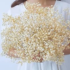 Uhky dried flowers for sale  Delivered anywhere in UK