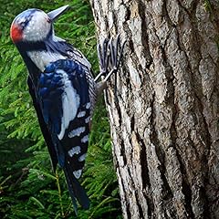 Woodpecker metal bird for sale  Delivered anywhere in USA 