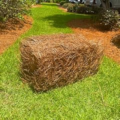 Premium square pine for sale  Delivered anywhere in USA 