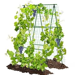 Garden trellis cucumber for sale  Delivered anywhere in USA 