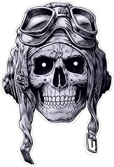 Chemstickattack aviator skull gebraucht kaufen  Wird an jeden Ort in Deutschland