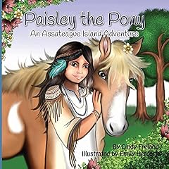 Paisley pony assateague for sale  Delivered anywhere in USA 