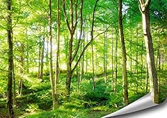 Artbay sonnenlicht durchflutet gebraucht kaufen Artbay sonnenlicht durchflutet gebraucht kaufen  Wird an jeden Ort in Deutschland