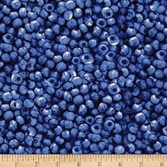 Timeless treasures blueberries for sale  Delivered anywhere in USA 