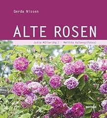 Alte rosen gebraucht kaufen  Wird an jeden Ort in Deutschland