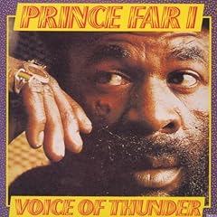 Voice thunder for sale  Delivered anywhere in USA 