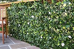 Extreme instant hedging for sale  Delivered anywhere in Ireland