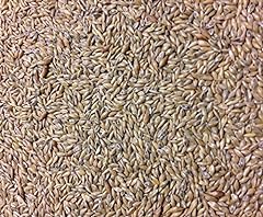 Deer creek seed for sale  Delivered anywhere in USA 