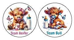 Pcs highland cow for sale  Delivered anywhere in USA 