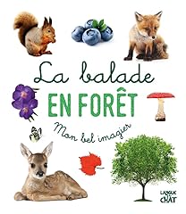 Balade forêt d'occasion  Livré partout en Belgiqu