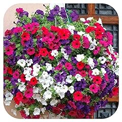 Petunia super cascade for sale  Delivered anywhere in UK