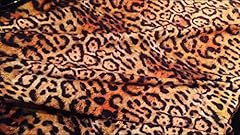 Leopard panther animal for sale  Delivered anywhere in UK