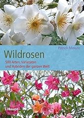 Wildrosen 500 arten gebraucht kaufen  Wird an jeden Ort in Deutschland