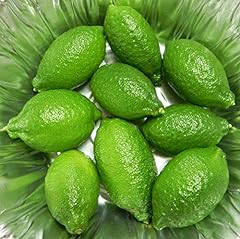 Finger caviar lime for sale  Delivered anywhere in USA 