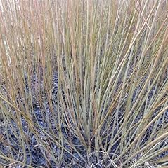 Packing twine willow for sale  Delivered anywhere in USA 