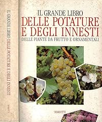 Grande libro delle usato  Spedito ovunque in Italia 