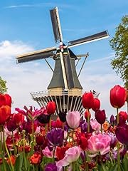 Dutch tulip windmill for sale  Delivered anywhere in UK