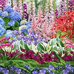 Mix perennials shade for sale  Delivered anywhere in UK
