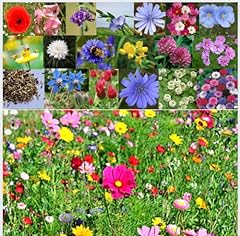 Premium wildflower seeds for sale  Delivered anywhere in Ireland