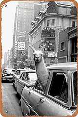 Vintage poster llama for sale  Delivered anywhere in USA 