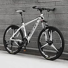 Ieowy mountain bike usato  Spedito ovunque in Italia 