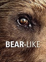 Orso me usato  Spedito ovunque in Italia 