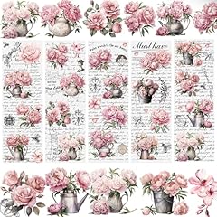 Wandic lot feuilles d'occasion  Livré partout en France