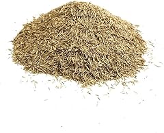 Back lawn grass for sale  Delivered anywhere in UK
