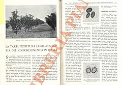 Tartuficoltura come ausiliaria usato  Spedito ovunque in Italia 