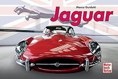 Jaguar usato  Spedito ovunque in Italia 