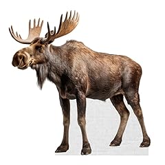 Moose life size for sale  Delivered anywhere in USA 