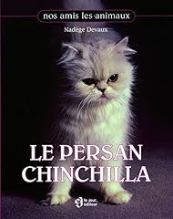 persan chinchilla blanc d'occasion  Livré partout en France