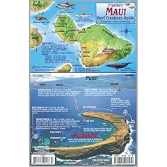 Franko maps maui for sale  Delivered anywhere in USA 