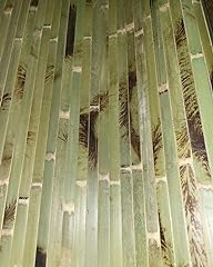 Bamboo wall paneling for sale  Delivered anywhere in USA 