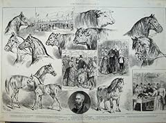 gravures anciennes animaux d'occasion  Livré partout en France